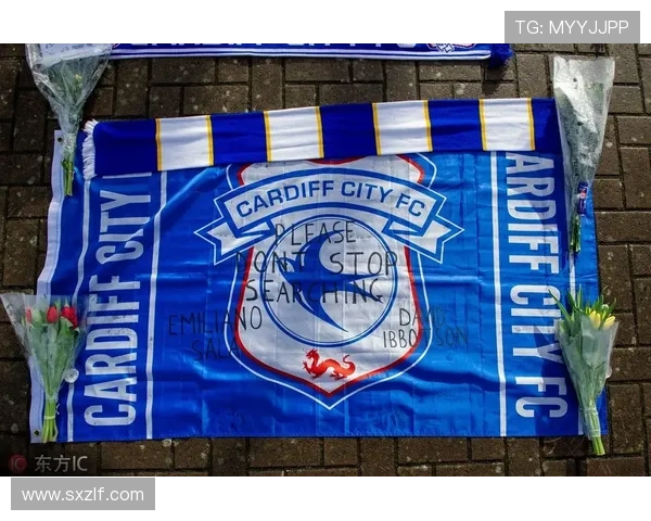 卡迪夫城俱乐部最新动态聚焦新赛季引援与战术调整目标升级冲击英冠前列